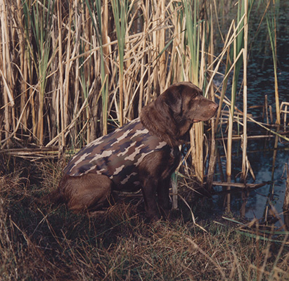 Retriever Dog Vest