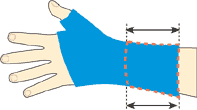 Proximal Length