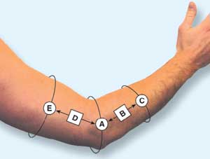 Elbow Sizing