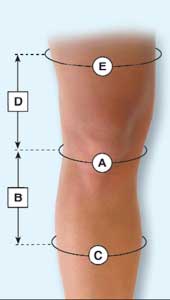 Knee Sizing